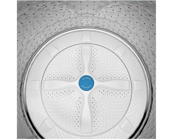 GE Profile 5.0 Cu.Ft. Top Loading Washer With Flexdispense™ - PTW600BSRWS