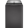 GE Profile 5.8 Cu.Ft. Top Loading Washer With Flexdispense™ - PTW600BPRDG