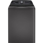 GE Profile 5.4 Cu. Ft. Top Loading Washer With Flexdispense™ - PTW700BPTDG