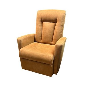 ELRAN Swivel and Recliner Rocking Chair