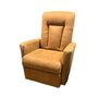 ELRAN Swivel and Recliner Rocking Chair