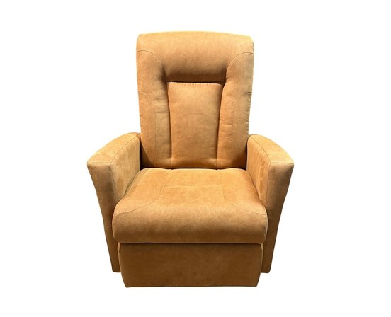 ELRAN Swivel and Recliner Rocking Chair