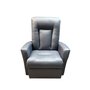 ELRAN Swivel and Recliner Rocking Chair