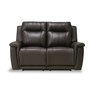 Riley Power Reclining Loveseat by Palliser