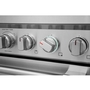 Frigidaire Professional 36-Inch Freestanding Dual-Fuel Range With Convection Technology - PCFD3670AF