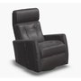 Motorized recliner with rocking and swivel functions