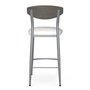 Hint Counter Height Stool by Amisco