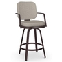 Dorsey Counter Height Stool by Amisco