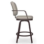 Dorsey Counter Height Stool by Amisco