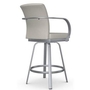 Lance Counter Height Stool by Amisco