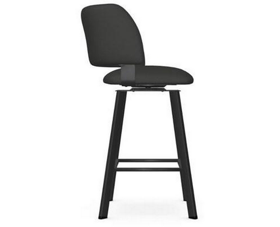 Easton Counter Height Stool by Amisco