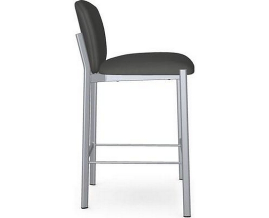 Kally Counter Height Stool by Amisco