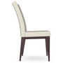 Alto Dining Chair by Amisco