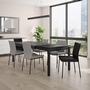 Osten Dining Chair by Amisco