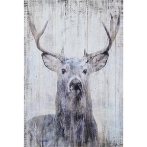 Gaze Wall Art by Renwil