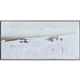 Home Decor Wall Art by Renwil