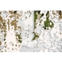 Rugs Rectangle by Renwil