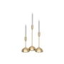 Home Decor Candle Holders by Renwil