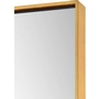 Crosland Wall Mirror by Renwil