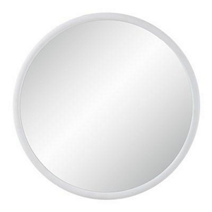 Porpoise Wall Mirror by Renwil