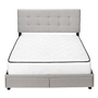 Queen Upholstered Platform Bed with Storage by Monarch