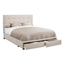 Queen Upholstered Platform Bed with Storage by Monarch
