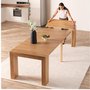 Extensible table by tranformer table