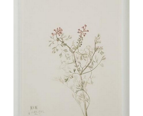 Home Decor Wall Art by Renwil