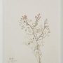 Home Decor Wall Art by Renwil