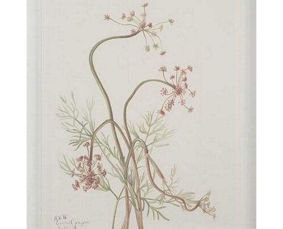 Home Decor Wall Art by Renwil