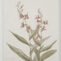 Home Decor Wall Art by Renwil