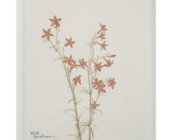 Home Decor Wall Art by Renwil