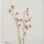 Home Decor Wall Art by Renwil