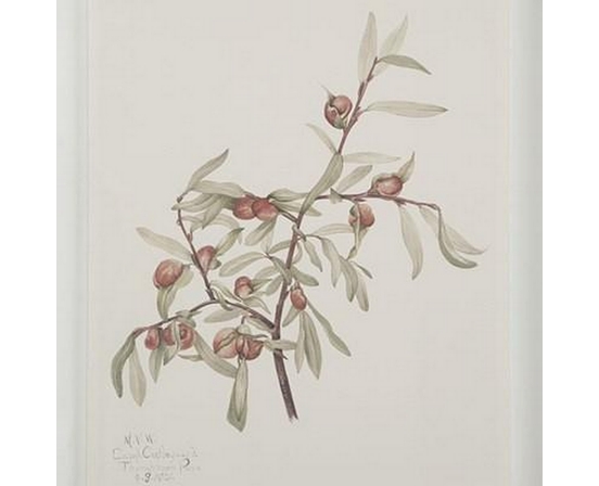 Home Decor Wall Art by Renwil