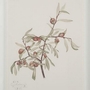 Home Decor Wall Art by Renwil