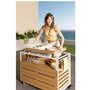Outdoor bar cart by transformer table