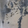 Home Decor Wall Art by Renwil