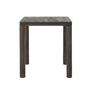 Clusia Accent Table by Renwil