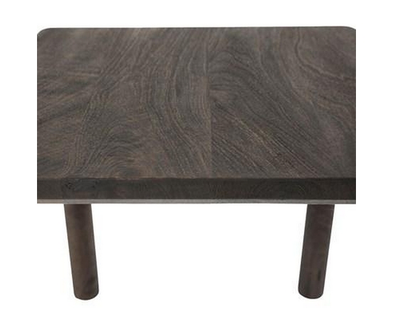 Clusia Accent Table by Renwil