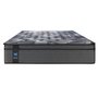 Sealy Allissandra Soft Mattress Queen Size 60-in.