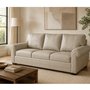Aman Leather Combo Sofa