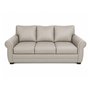 Aman Leather Combo Sofa