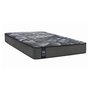 Sealy Mariella Firm Mattress Twin XL Size 39 in.