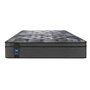 Sealy Fiero Medium-Firm Mattress, 60-inch Double Bed