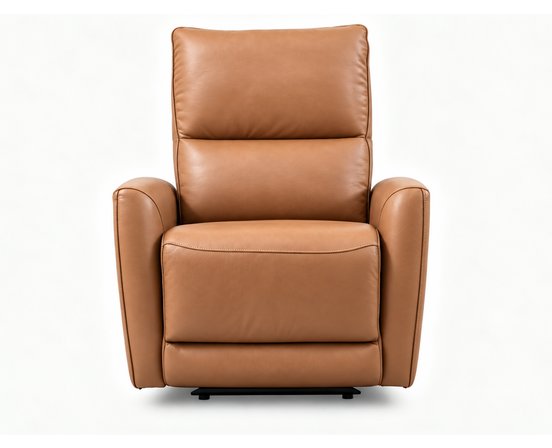 Meadow Leather Match Power Glider Recliner by Primo International