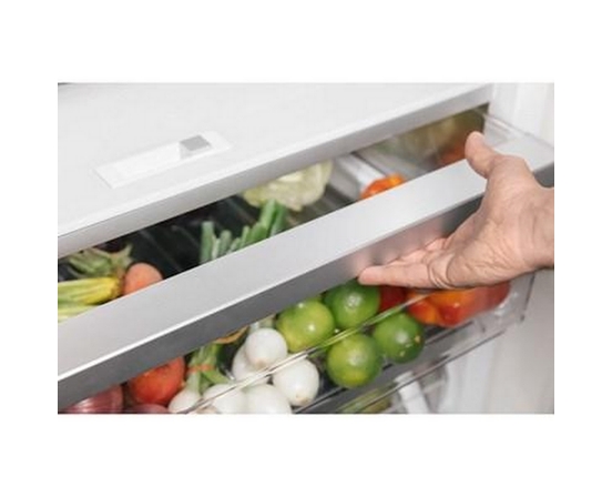 Thermador 30-Inch Built-In All Refrigerator - T30IR905SP