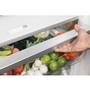 Thermador 24-Inch Built-In All Refrigerator - T24IR905SP