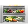 Thermador 24-Inch Built-In All Refrigerator - T24IR905SP