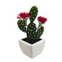 Decorative cactus