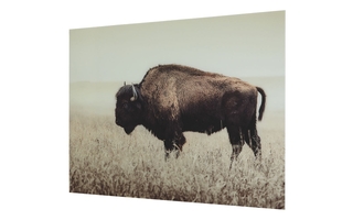 Brutus Wall Art by Ashley - A8000289